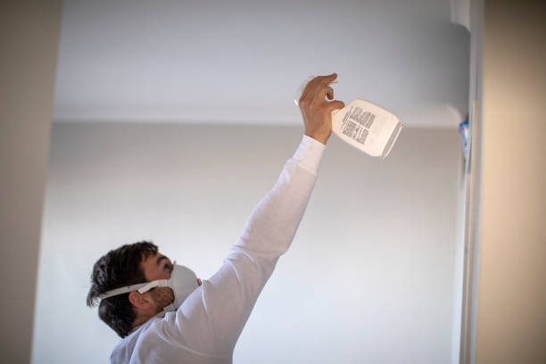 Best Mold Damage Repair  in Alturas, CA
