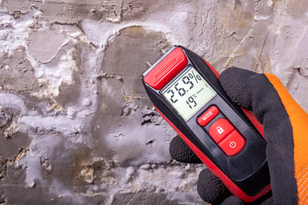 Best Water Damage Restoration  in Alturas, CA