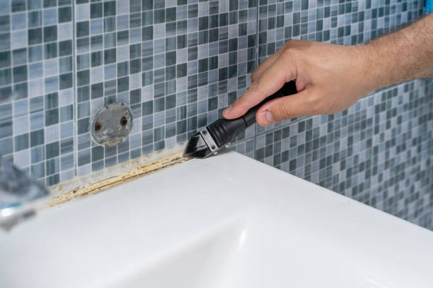 Best Mold Remediation Services  in Alturas, CA