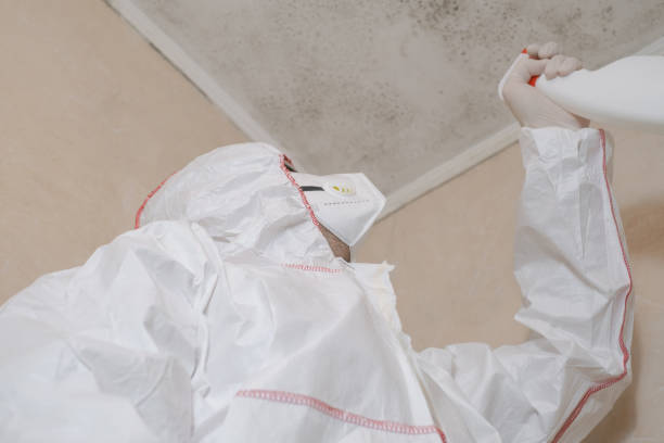 Best Attic Mold Removal  in Alturas, CA