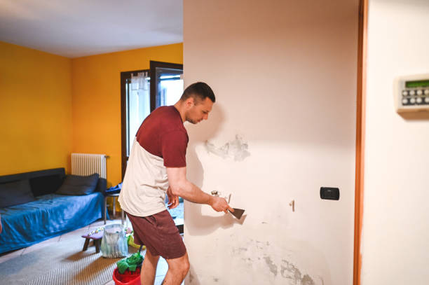 Best Mold Remediation  in Alturas, CA
